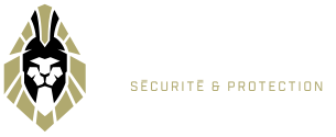 Leader Sécurité & Protection : l’ultime agence de sécurité depuis 2013